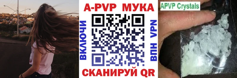 A PVP СК КРИС  Кирс 