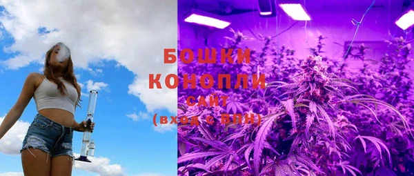 кокс Арсеньев