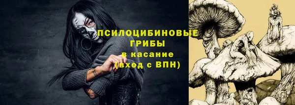 кокс Арсеньев